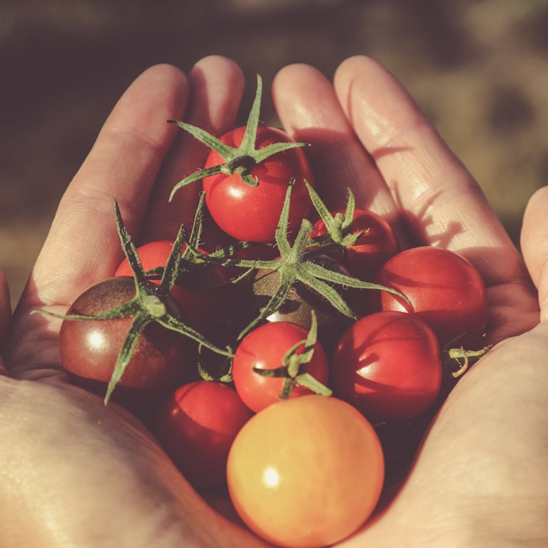 teen gardening therapy